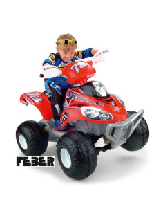 Quad Motion 12V Feber 2